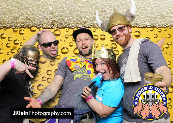 Atlanta Green screen photobooth rental, photo booth rental Atlanta, Hogs and hops, Festival photo services,