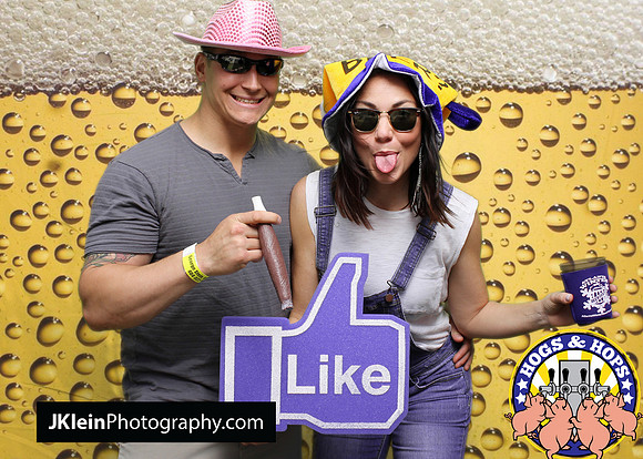 Atlanta Green screen photobooth rental, photo booth rental Atlanta, Hogs and hops, Festival photo services,