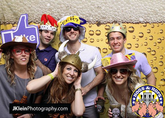 Atlanta Green screen photobooth rental, photo booth rental Atlanta, Hogs and hops, Festival photo services,