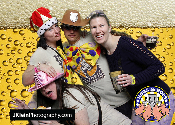 Atlanta Green screen photobooth rental, photo booth rental Atlanta, Hogs and hops, Festival photo services,