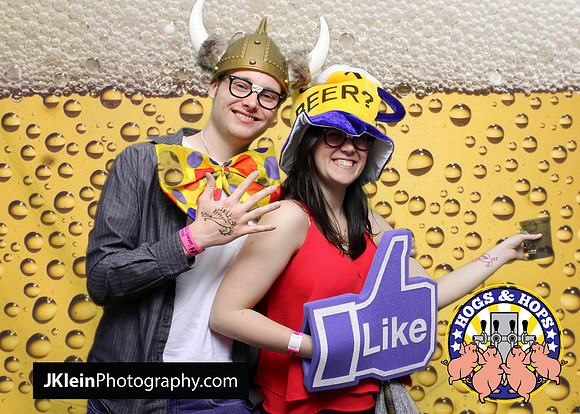 Atlanta Green screen photobooth rental, photo booth rental Atlanta, Hogs and hops, Festival photo services,