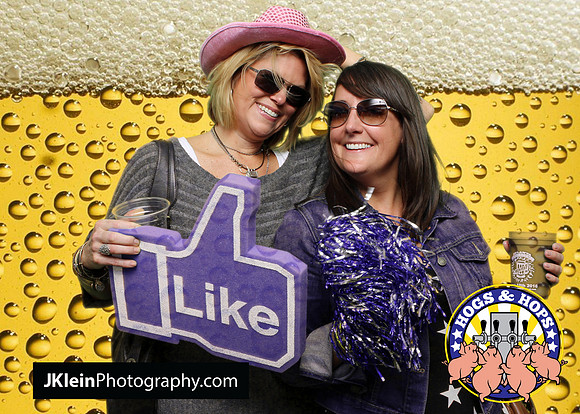 Atlanta Green screen photobooth rental, photo booth rental Atlanta, Hogs and hops, Festival photo services,