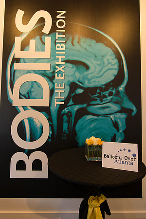 ACVB Connect @ BODIES-6847