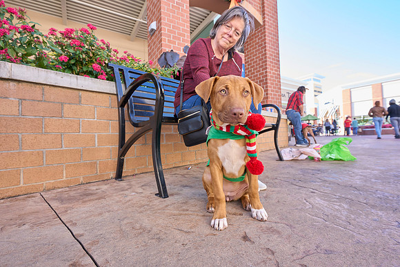 Outlets-(11-19-23)-0009