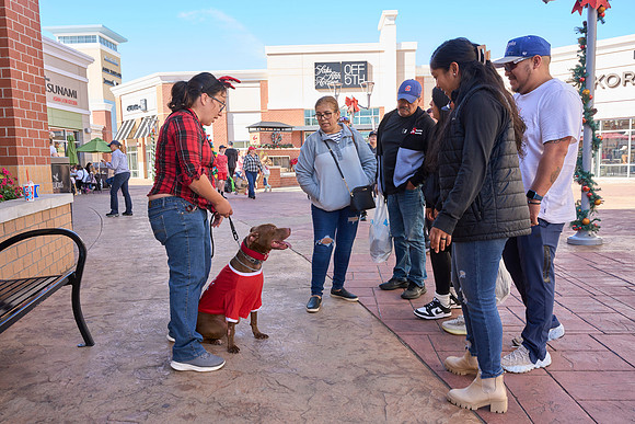 Outlets-(11-19-23)-0021