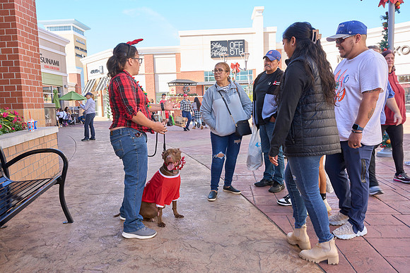 Outlets-(11-19-23)-0022