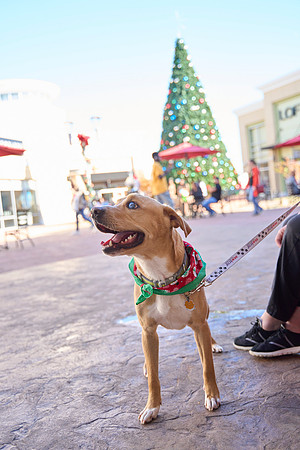 Outlets-(11-19-23)-0061