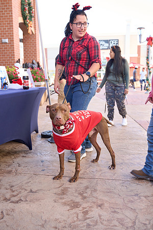 Outlets-(11-19-23)-0116