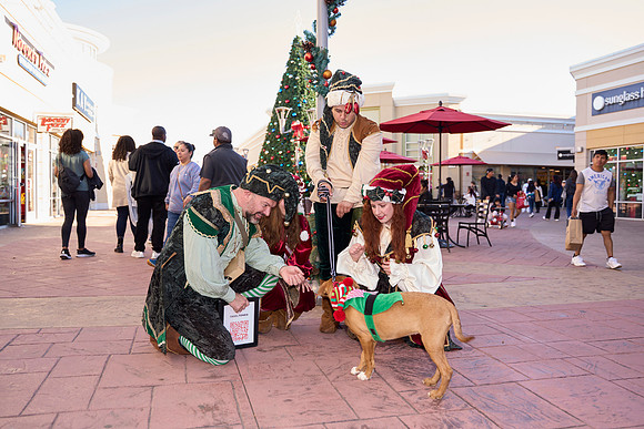 Outlets-(11-19-23)-0126