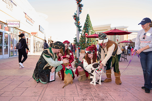 Outlets-(11-19-23)-0128