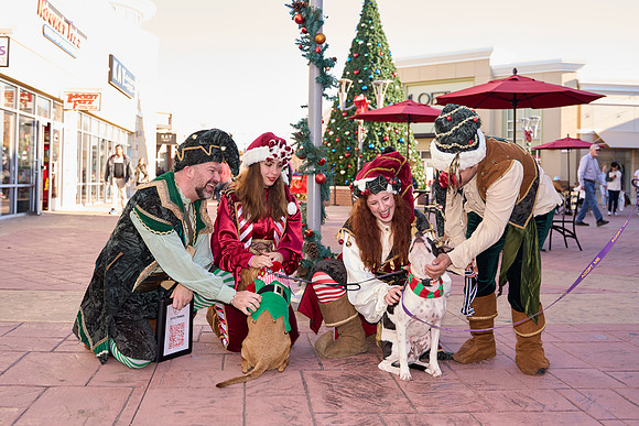 Outlets-(11-19-23)-0129