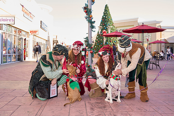 Outlets-(11-19-23)-0130