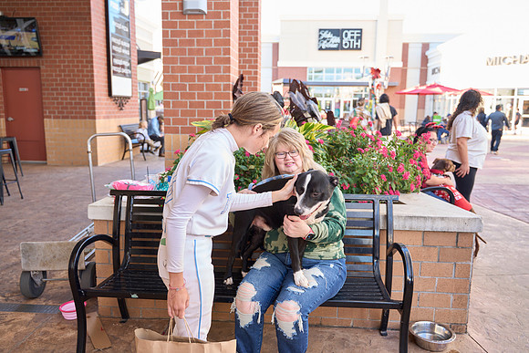 Outlets-(11-19-23)-0133