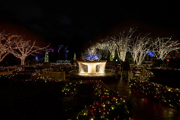 JLL-xmas-(12-10-23)-0090