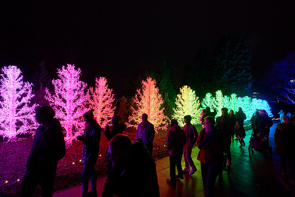 JLL-xmas-(12-10-23)-0096