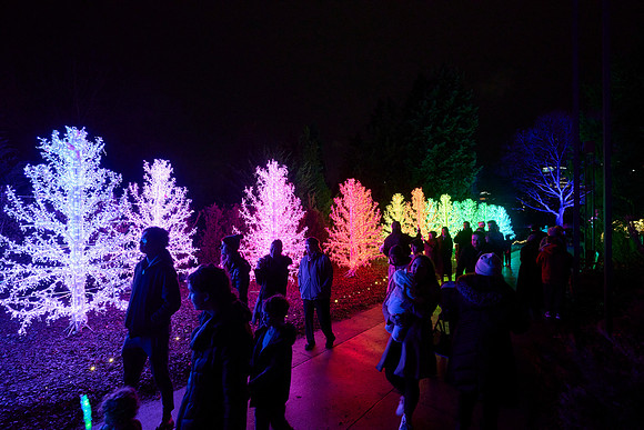 JLL-xmas-(12-10-23)-0095