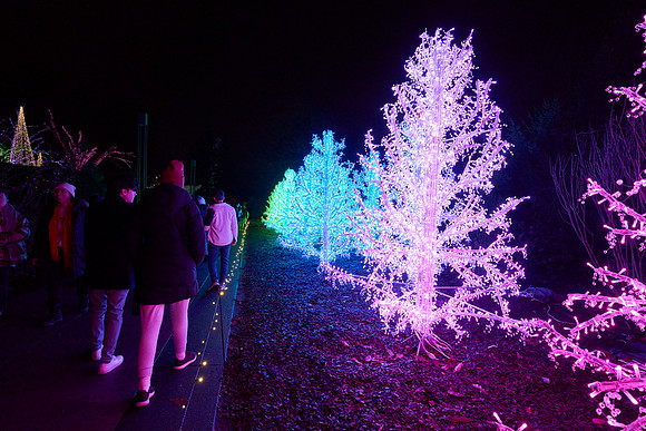 JLL-xmas-(12-10-23)-0097