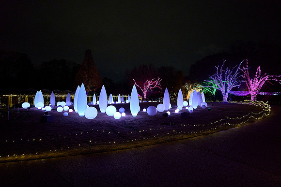 JLL-xmas-(12-10-23)-0107