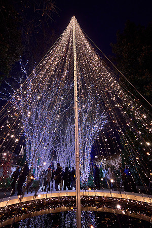 JLL-xmas-(12-10-23)-0114