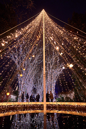 JLL-xmas-(12-10-23)-0116