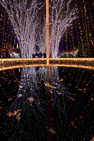 JLL-xmas-(12-10-23)-0117