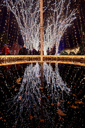 JLL-xmas-(12-10-23)-0118