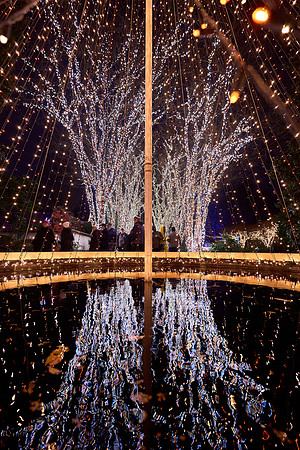 JLL-xmas-(12-10-23)-0119