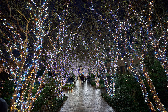 JLL-xmas-(12-10-23)-0125