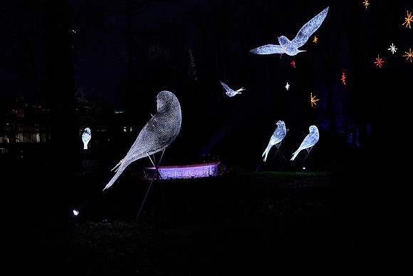 JLL-xmas-(12-10-23)-0126