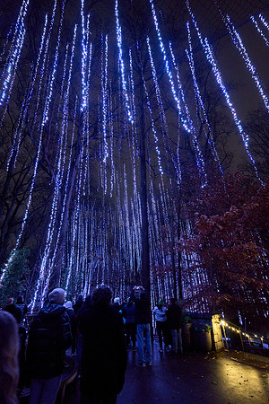 JLL-xmas-(12-10-23)-0130