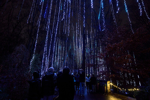 JLL-xmas-(12-10-23)-0131