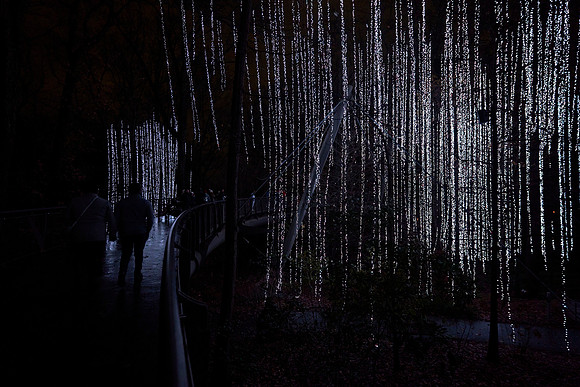 JLL-xmas-(12-10-23)-0133