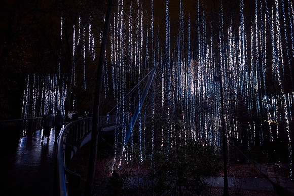 JLL-xmas-(12-10-23)-0134