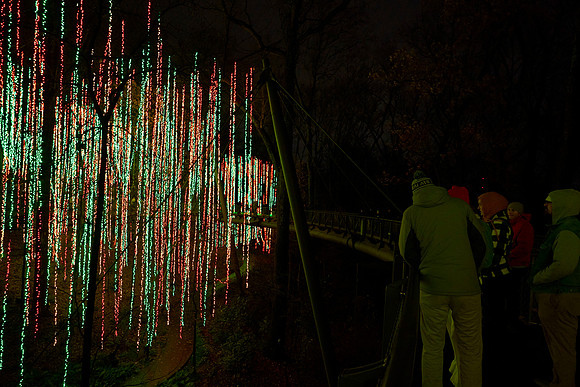 JLL-xmas-(12-10-23)-0135